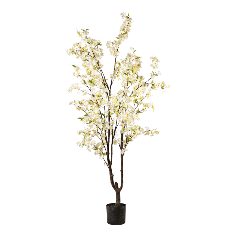 Cherry blossom tree in pot, 200cm Topf: Ø 20cm out of plastic, flower out of artificial silk