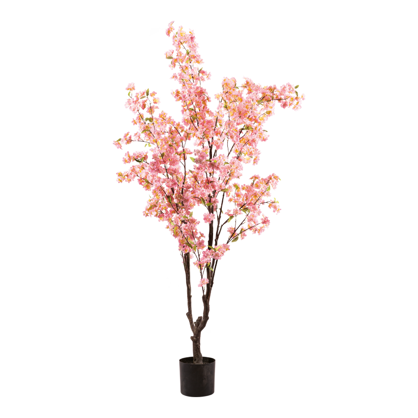 Cherry blossom tree in pot, 200cm Topf: Ø 20cm out of plastic, flower out of artificial silk