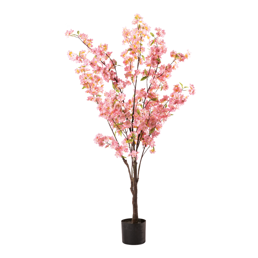 Cherry blossom tree in pot, 140cm Topf: Ø 15cm out of plastic, flower out of artificial silk