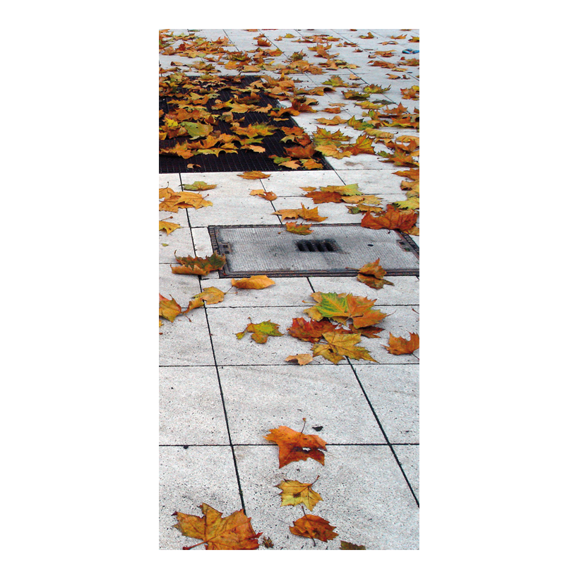 Banner Autumn foliage in the city, 80x200cm fabric