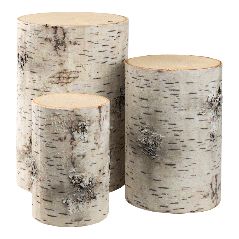 Birch trunk, 1: 30cm ⌀ 20cm, 2: 24cm ⌀ 16cm 3: 18cm ⌀ 12cm set of 3pcs, out of styrofoam