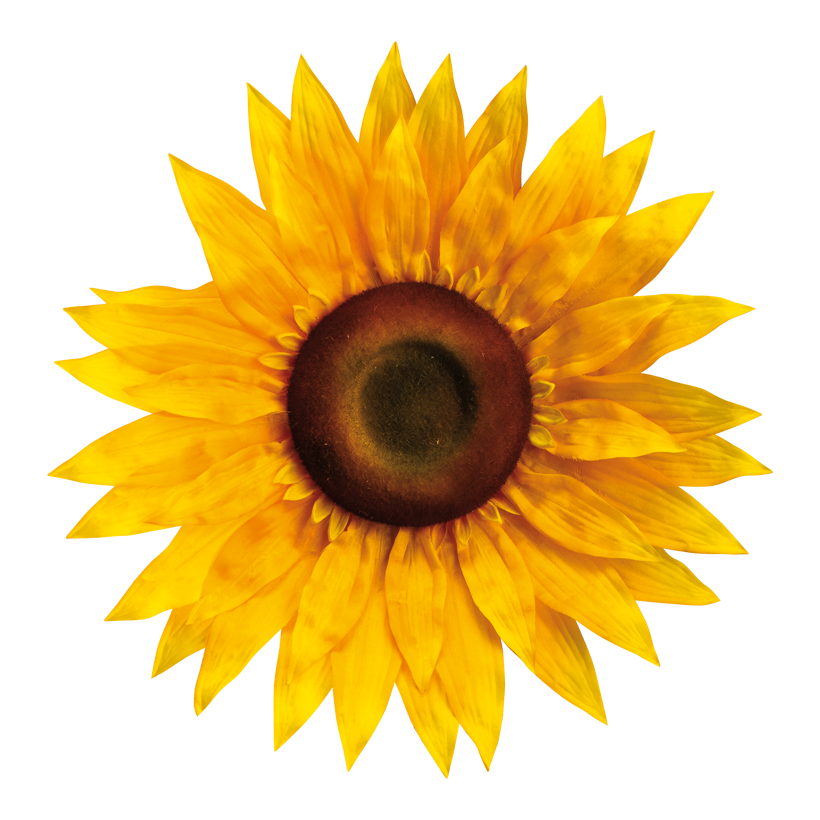 Sonnenblumenkopf, ⌀ 50cm aus Kunstseide, biegsam